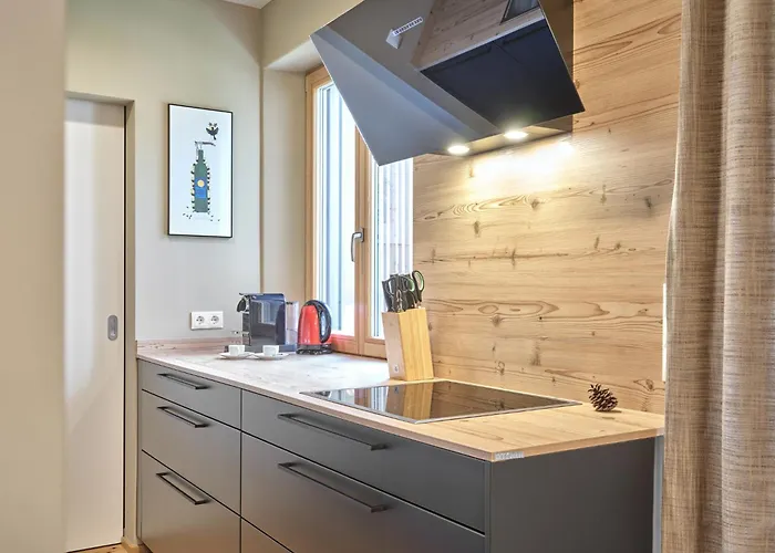 Apartament Mountain Lover One By Aa Homes Tauplitz